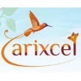 Arixcel