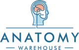 AnatomyWarehouse