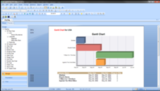 Crystal Reports 2011